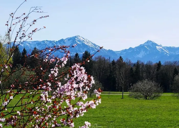 Mit Garten Und Bergblick Traunstein