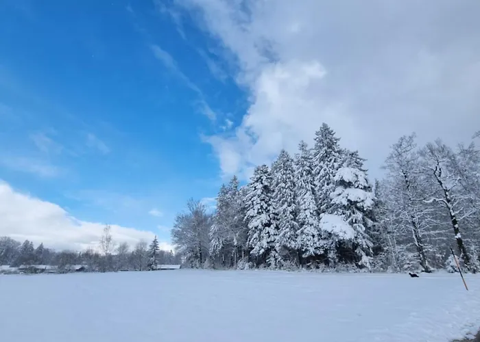 Apartmán Mit Garten Und Bergblick