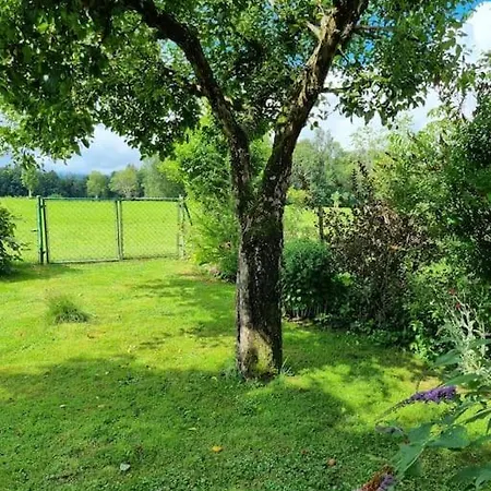 Apartment Mit Garten Und Bergblick Traunstein