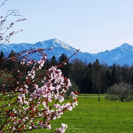 Mit Garten Und Bergblick Traunstein